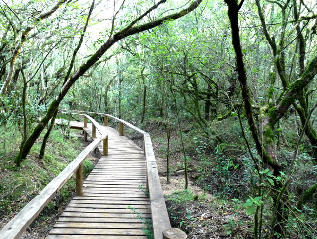 parques-jardines